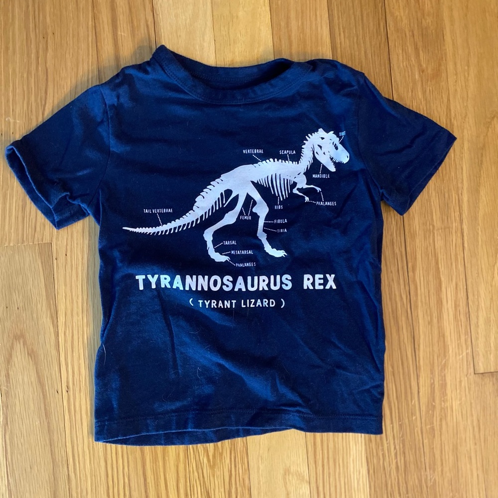 Gap 2T dinosaur shirt